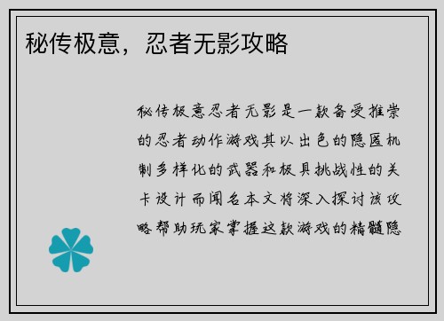 秘传极意，忍者无影攻略